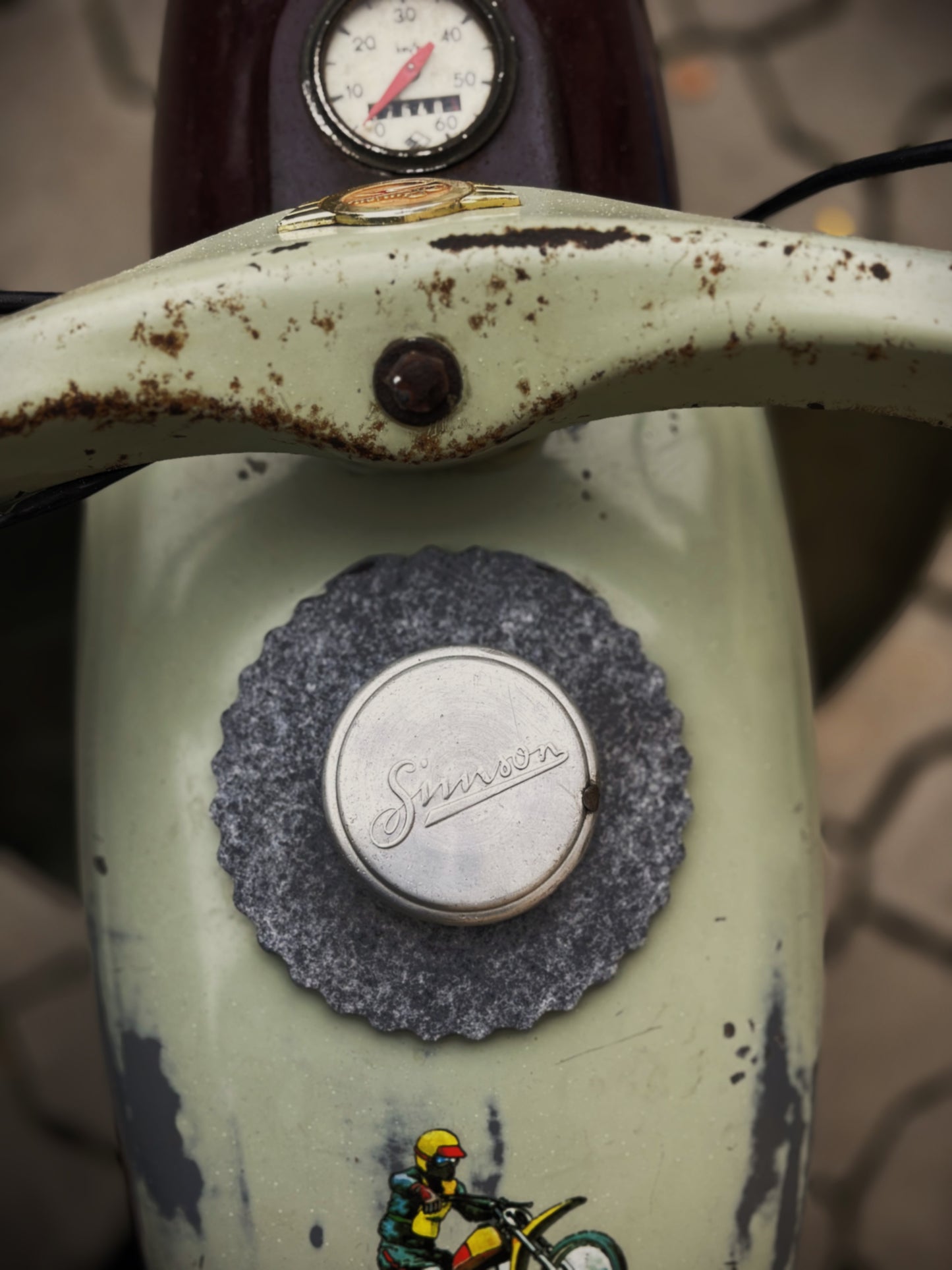 Filzring_auf_Spatz